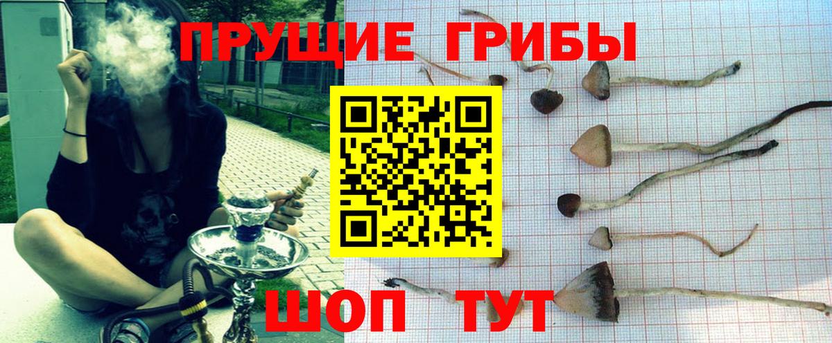 Галлюциногенные грибы Cubensis  Вход с VPN  Заречный 