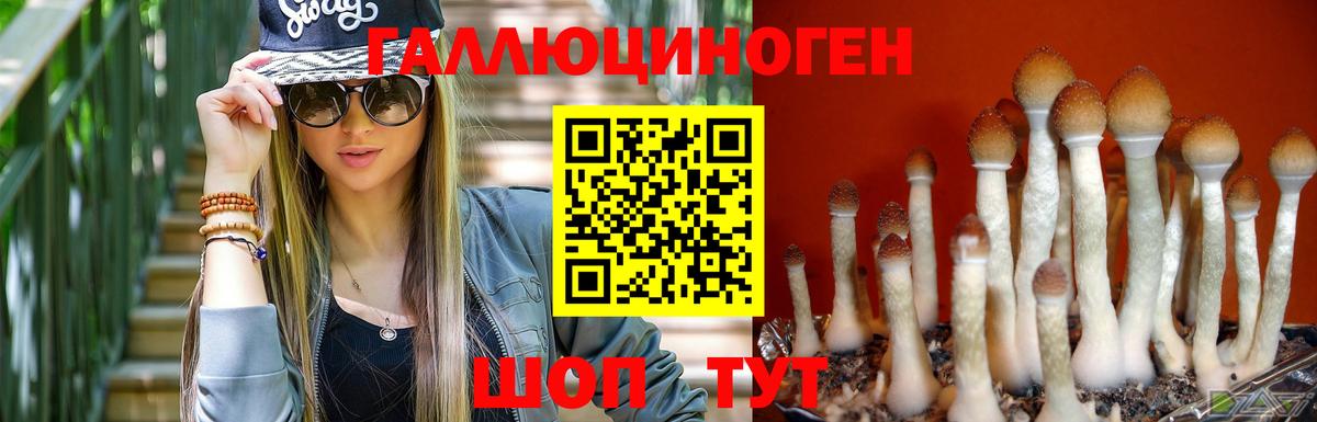 Псилоцибиновые грибы Cubensis Заречный